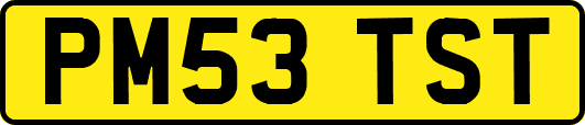 PM53TST