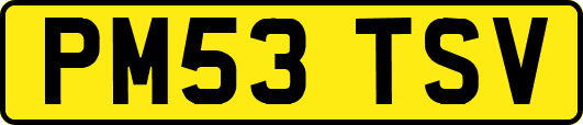 PM53TSV