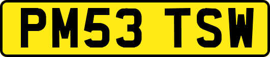 PM53TSW