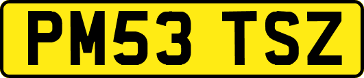 PM53TSZ