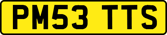 PM53TTS