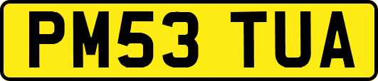 PM53TUA