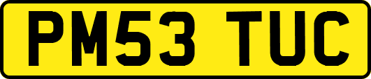 PM53TUC