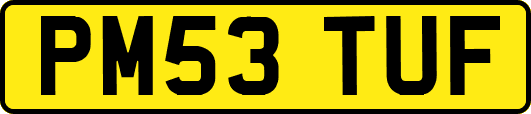 PM53TUF