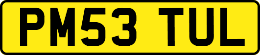 PM53TUL