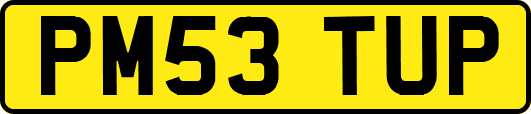 PM53TUP
