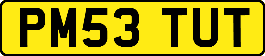 PM53TUT