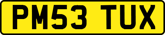 PM53TUX