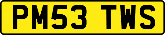 PM53TWS