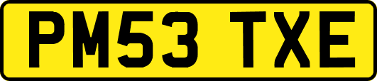 PM53TXE