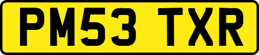 PM53TXR