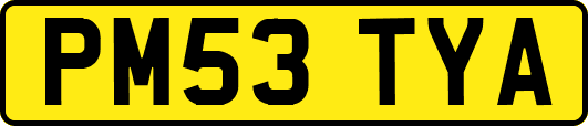 PM53TYA