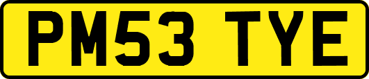 PM53TYE