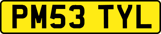 PM53TYL