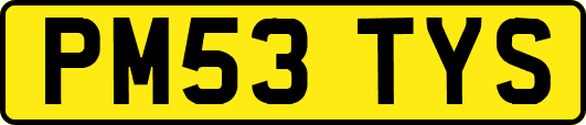 PM53TYS