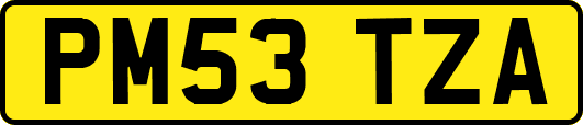 PM53TZA