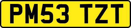 PM53TZT