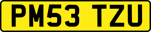 PM53TZU