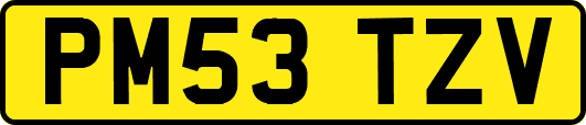 PM53TZV