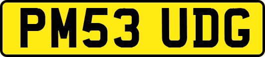 PM53UDG