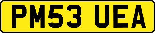 PM53UEA