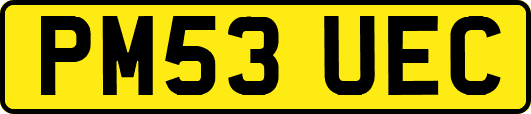 PM53UEC