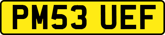 PM53UEF