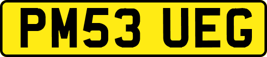 PM53UEG
