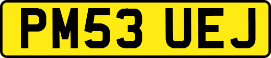 PM53UEJ