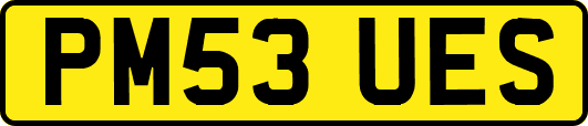 PM53UES