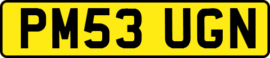 PM53UGN