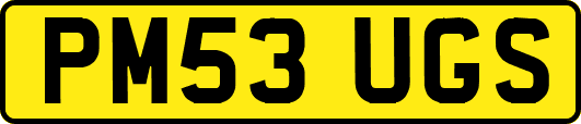 PM53UGS