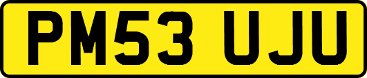 PM53UJU
