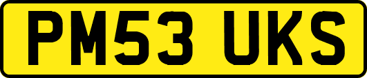 PM53UKS