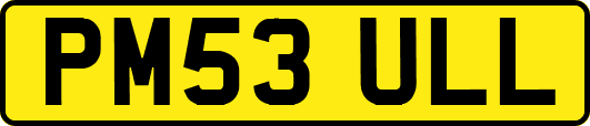 PM53ULL