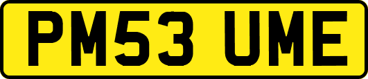 PM53UME