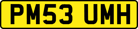PM53UMH
