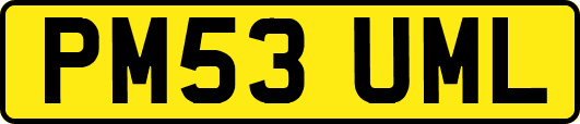 PM53UML