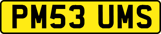 PM53UMS