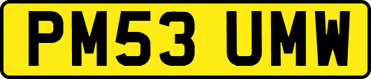 PM53UMW