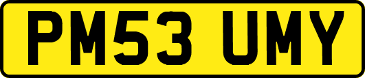 PM53UMY