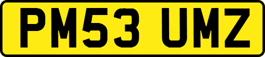 PM53UMZ