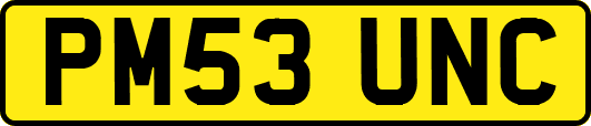 PM53UNC