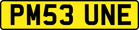 PM53UNE