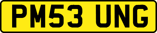 PM53UNG