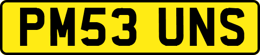 PM53UNS