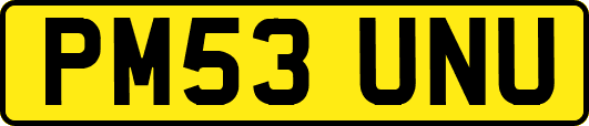 PM53UNU