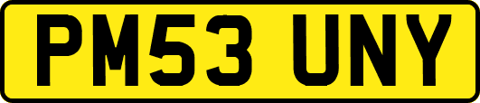 PM53UNY