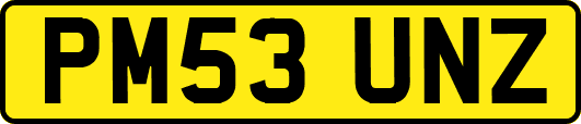 PM53UNZ