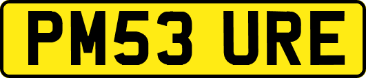 PM53URE